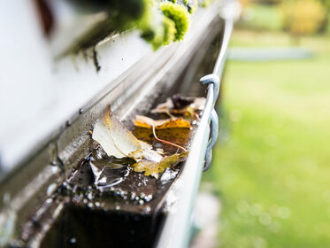 AdobeStock_297321492