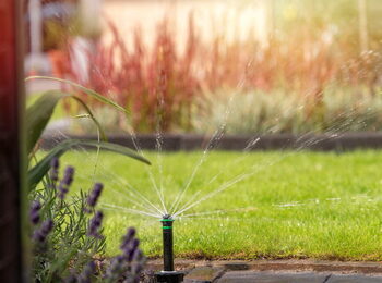 sproeiset-gazon-16m-sfeerbeeld