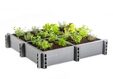 Moestuinbak 3