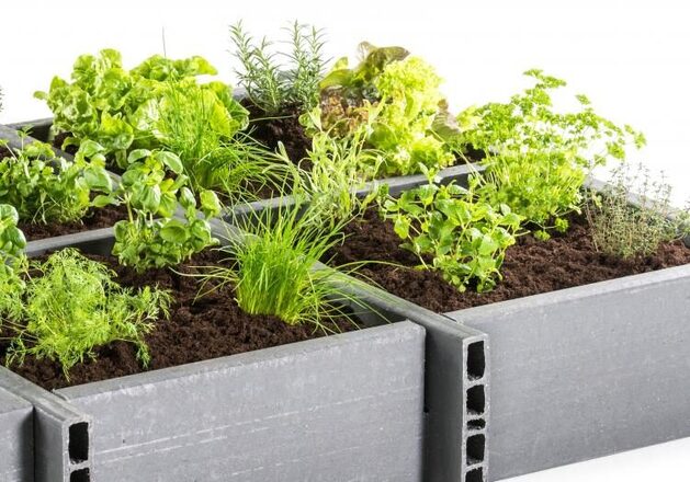 Moestuinbak 2