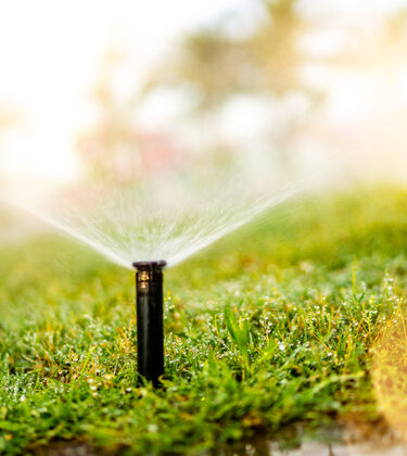 AdobeStock_282781126