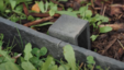 Ecolat_ecopic_paaltje_gerecycled_kunststof